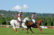 DEAUVILLE Polo