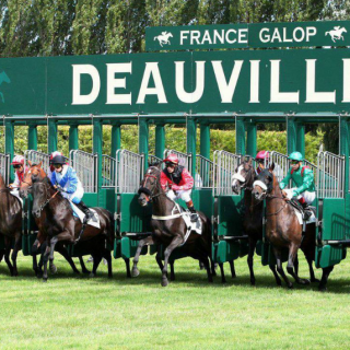 DEAUVILLE horse races